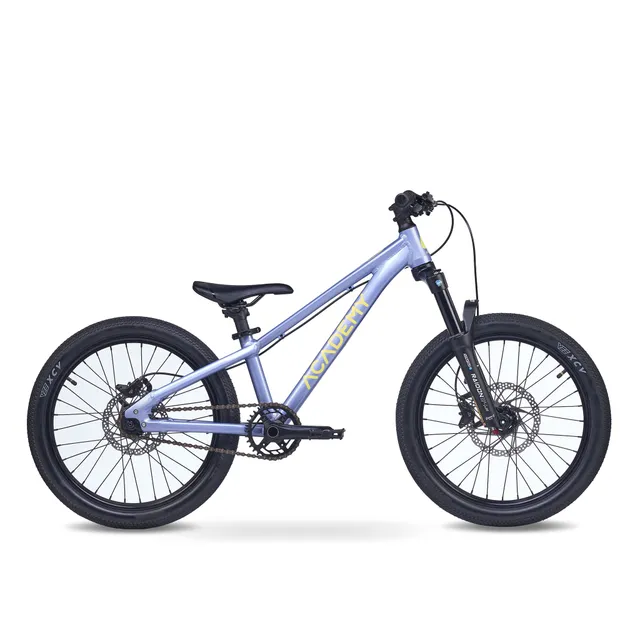 academy-pump-4-kinderfahrrad-20-zoll-frost-scheibenbremse image 1
