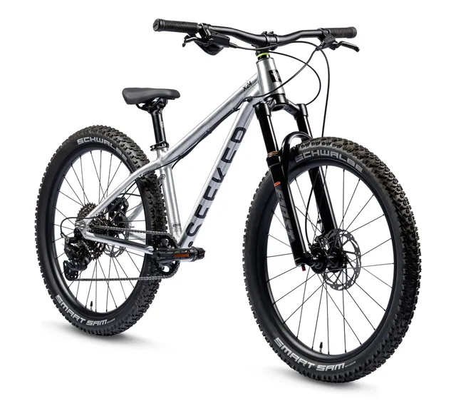 early-rider-seeker-x24-kinderfahrrad-24-zoll-alu-10-gang image 1