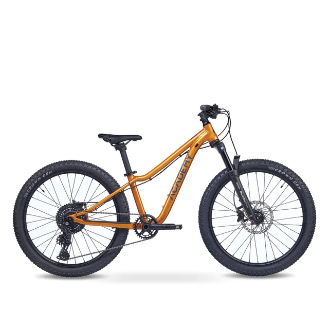 academy-trail-5-24-zoll-jugendfahrrad-amber-9-gang-federgabel image 1