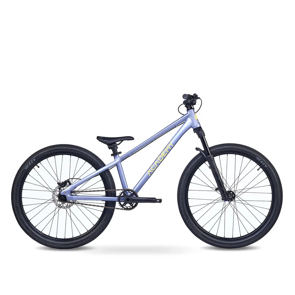 academy-pump-6-26-zoll-jugendfahrrad-frost-1-gang image 1